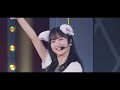【乃木フェスイベント告知】懐かない仔猫