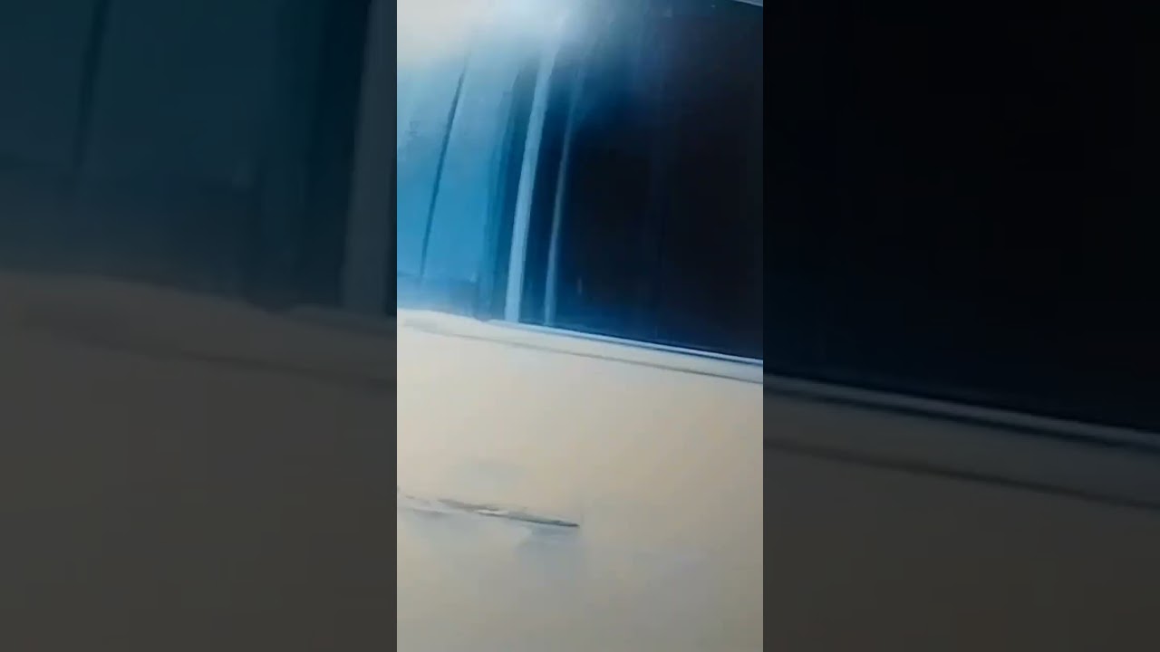 #starlinetaxis
