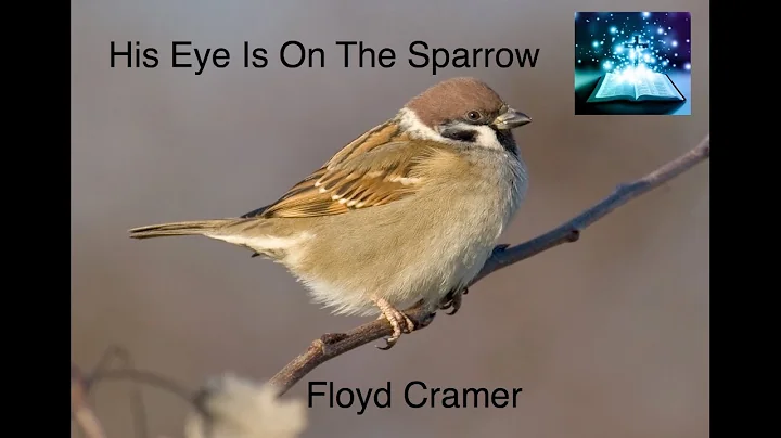 Gospel   His Eye Is On The Sparrow by Floyd Cramer