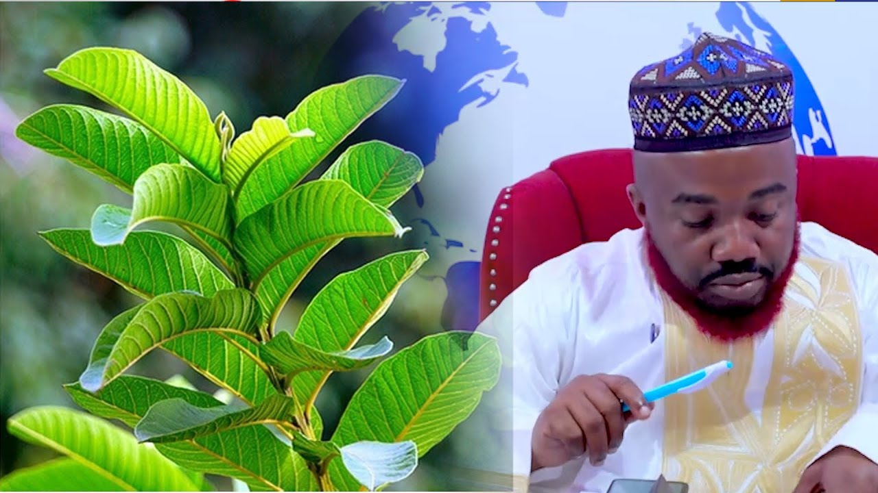 FAIDA YA MAJANI YA MPERA MWILINI UTANISHUKURU BAADAE