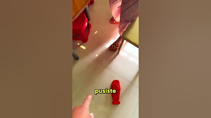 Confundió su chancla con un pez 😂 #shortsvideo