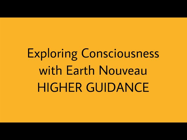 Exploring Consciousness: Higher Guidance