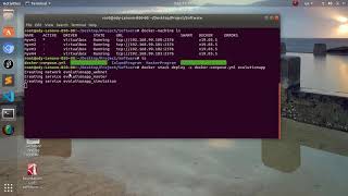 A Framework for Simulating Artificial Life on Distributed Systems