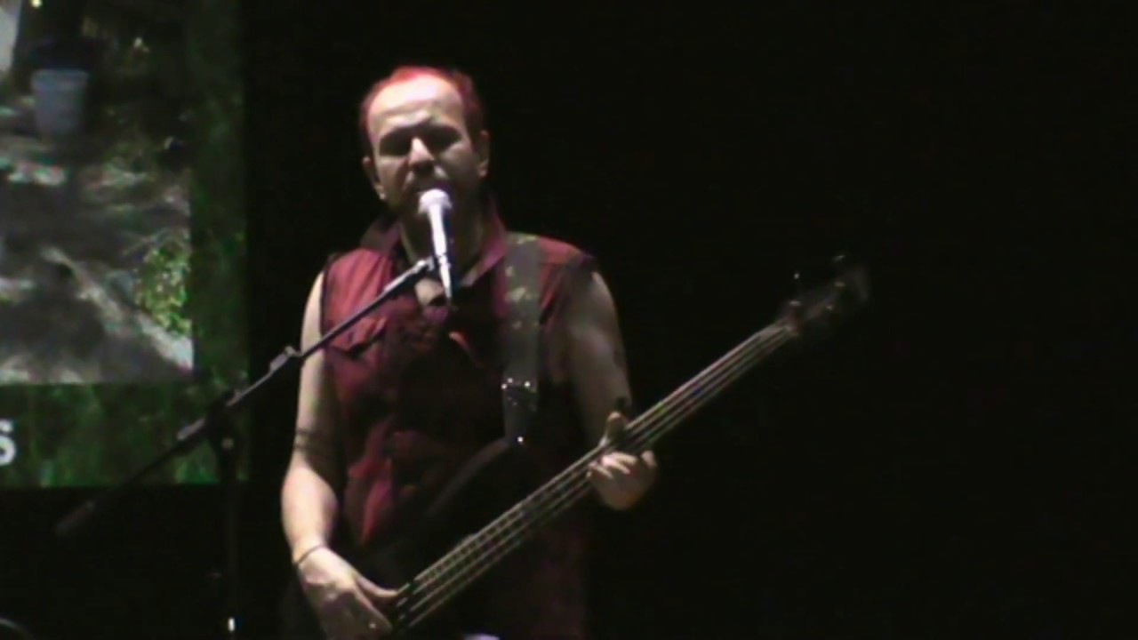 Mississippi Alligators - Drilo (Crocodylia)