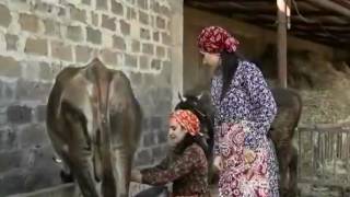 Anna Xachatryan Taran - Taran