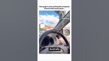 Subscribe us to experience epic bug encounters and see how people react when insects catch