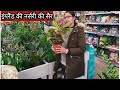 लंदन नर्सरी और पौधों की कीमत  Garden center of London in November