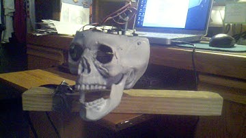 3 Axis Skull test with skin on