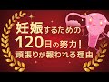 妊娠を目指す１２０日の努力！