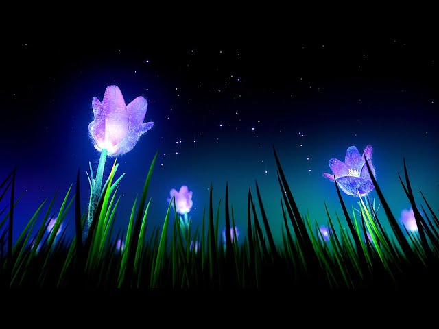 10 Hours Relaxing Sleep Music 🎵 Stress Relief Music, Insomnia, Calming Sleep Music (Lavender) class=