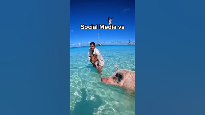 Social Media Expectations vs Reality Part 1 😂 #travel #explore #nature #fyp #shorts #adventure