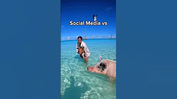 Social Media Expectations Vs Reality Part 1 Travel Explore Nature Fyp Shorts Adventure 