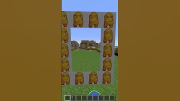 which ordinary nether portals is the most cursed in Minecraft? #shorts #meme #memes