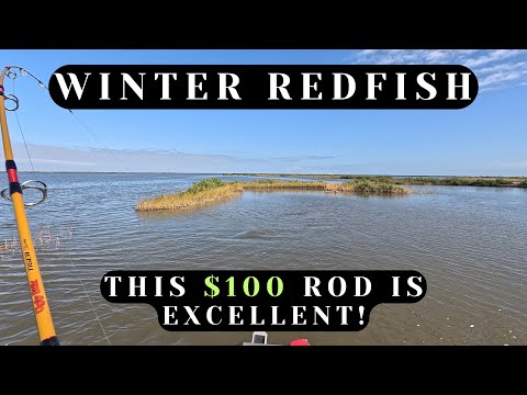 This $94.95 saltwater rod is excellent! - Last trip of 2025!
