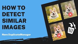How to Detect Similar Images | Nero DuplicateManager Tutorial screenshot 4