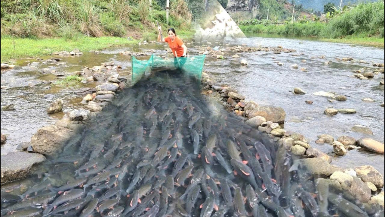Девушка ловит рыбу сеткой и бросает приманку, чтобы привлечь рыбу в ловушку.
