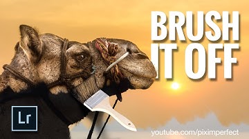 Adjustment Brush in Lightroom - The Key to Professional Look | Lightroom Tutorials #10