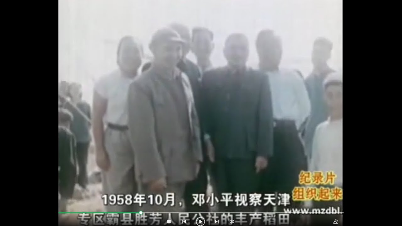稻上飞:稻学崛起 邓小平 牛棚VS别墅 - YouTube