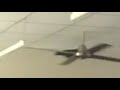 The Flawless Wings Of The Yatagarasu The Flawless Wings Of The Yatagarasu