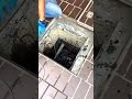 【ドレン詰まり】プール状態の屋上水が一気に排水される瞬間