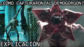 cmo Los Rusos Capturaron Al Demogorgon  La Historia Del Demogorgon De Kamchatka Explicada