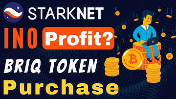 Briq INO Token Purchase | StarkNet Testnet Airdrop