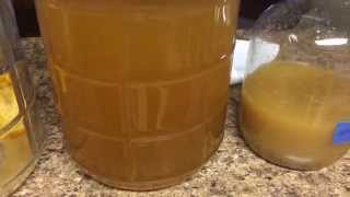 Making Mead - Quick Update