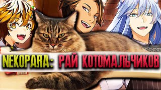 Аниме с мальчиками котиками | Nekopara Catboys Paradise - Прохождение на русском Часть 1