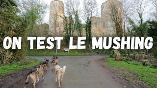 On test le Mushing près de Niort en France