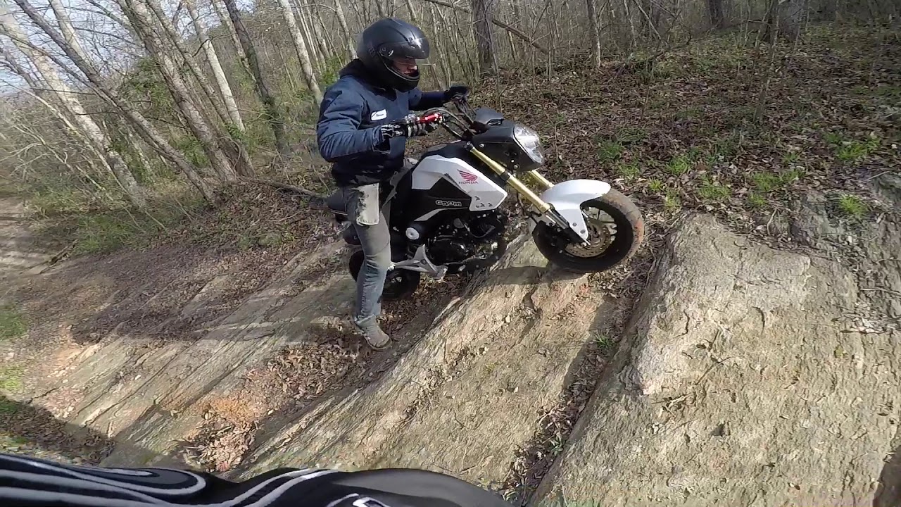 Honda Grom Dual Sport Tires YouTube