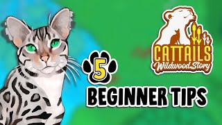 5 Tips I Wish I Knew BEFORE Playing Cattails Wildwood Story 🐈