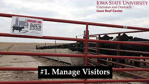 Cow Tip Tuesday Biosecurity in Your Operation