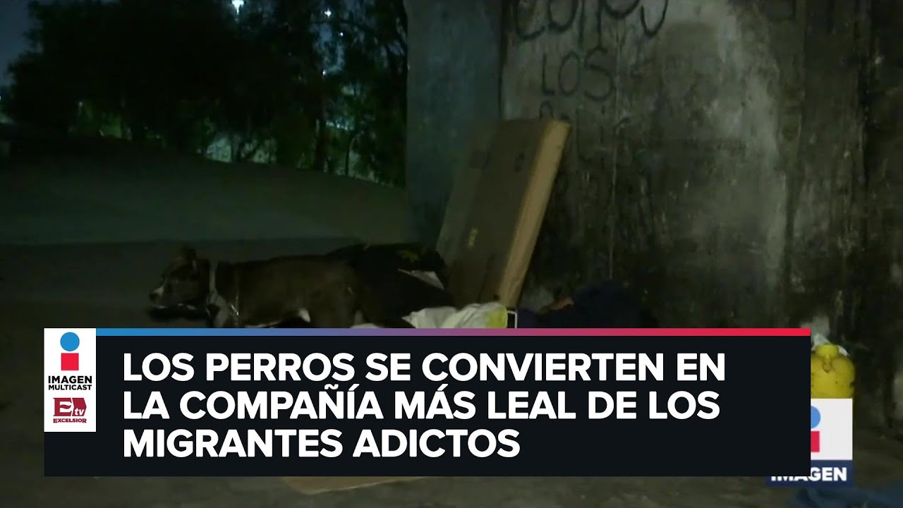 Otras dependencias de los adictos al fentanilo | Sobredosis de fentanilo... y realidad