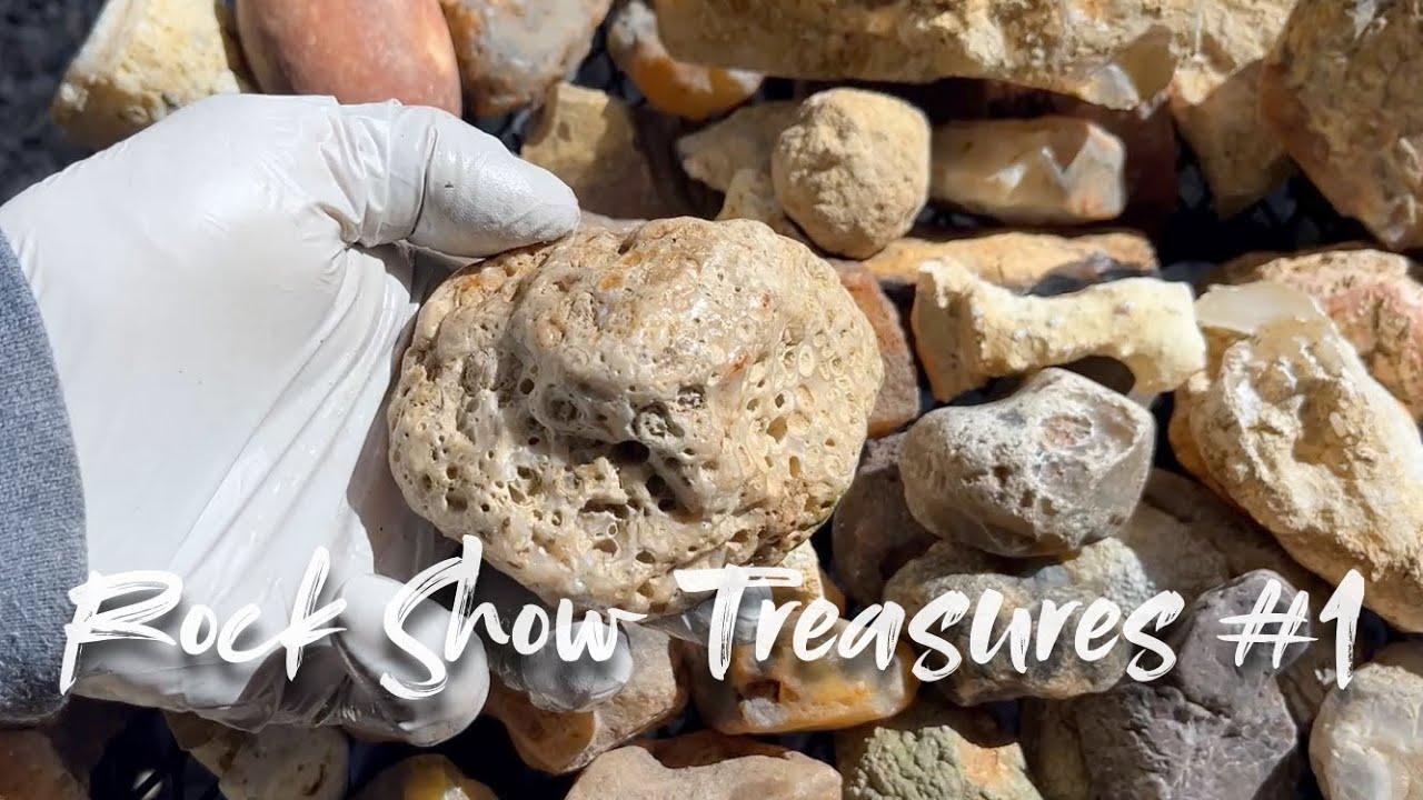 Rock Show Treasures #1