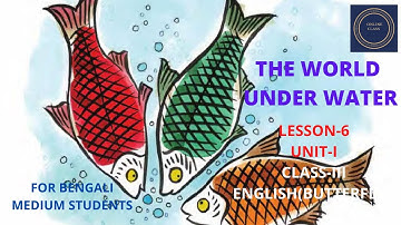THE WORLD UNDER WATER  II  Unit 1 II class 3 English  II Butterfly  II lesson 6