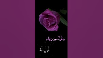 صباح الخير💜 اجمل حالات واتس اب مقاطع قصيره💜قران كريم سورة الإنسان واذا رأيت ثم💜اسلام صبحي بدون حقوق