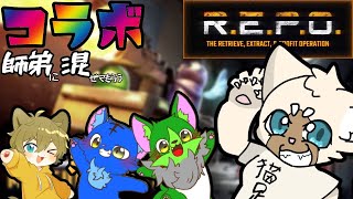 【コラボ】師弟コンビにキャリーしてもらう枠【犬猫25：75】#REPO