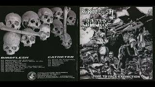 Birdflesh / Catheter – Time To Face Extinction (2004, Split) [Grindcore]