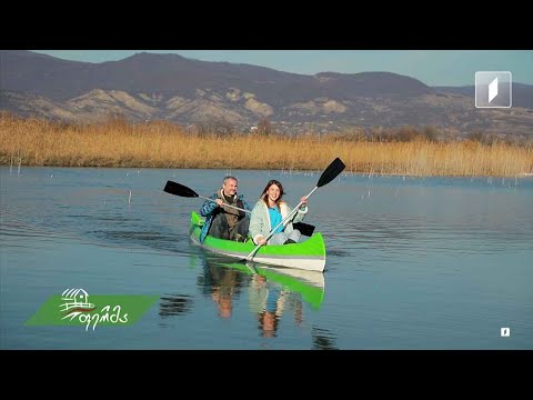 #ფერმა ირაკლი რამიშვილისა და ზურა მანჯავიძის მეურნეობა მანავში