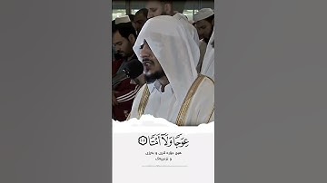 القرآن الكريم بصوت القارئ هيثم الدخين