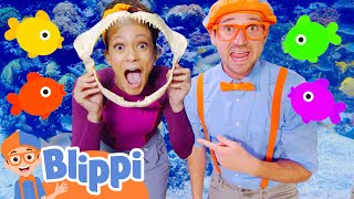 blippi meekah meet rainbow color fish aquarium of the pacific blippi learn colors science