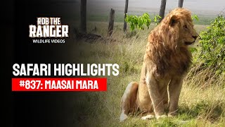 Safari Highlights #837: 05 September 2025 | Lalashe Maasai Mara | Latest #Wildlife Sightings
