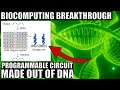 First Ever Programmable DNA Circuit Is a Breakthrough In Biocomputing