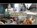 Trucking vlog | 4am live-unload + Pepper is spoiled 😭