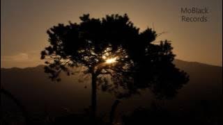 Alou Sangaré - Téguéré (Tete de la Course Remix)