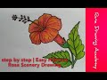 How to draw a hibiscus rosa rana drawing academy