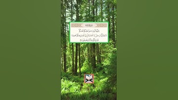 سورة المائدة بصوت الشيخ سعد الغامدي #duet #اكسبلور #قرآن #funny #explore