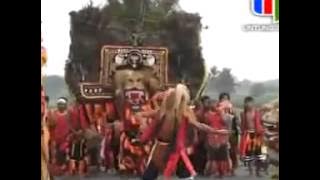 Barong sai vs barong dadak merak