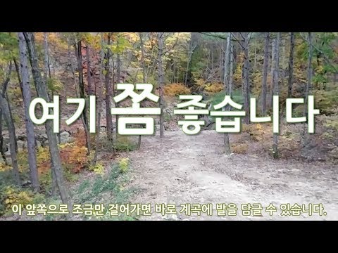 화천숲속야영장이 글케 좋다구?? 춘천캠핑여행 첫날