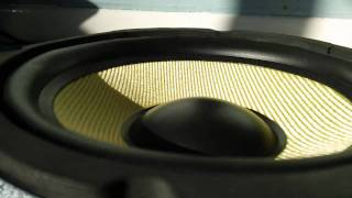 6.5 kevlar woofer excursion #2